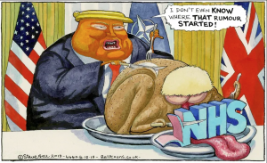 SteveBell_TrumpBojoNHS